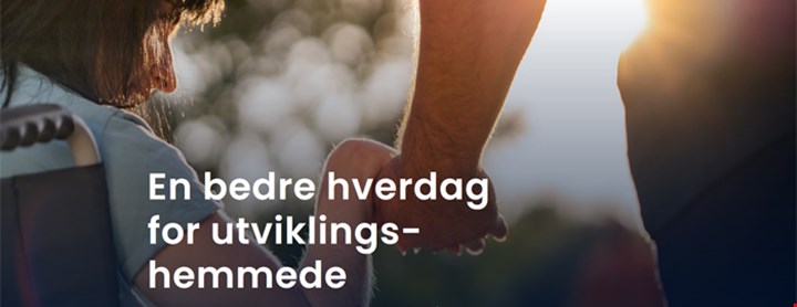 Utklipp fra Høyres nettside