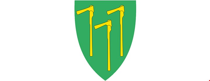 Åmot kommunevåpen