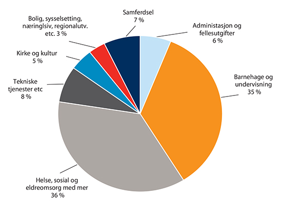 Fordeling av kommunesektorens driftsutgifter i 2018