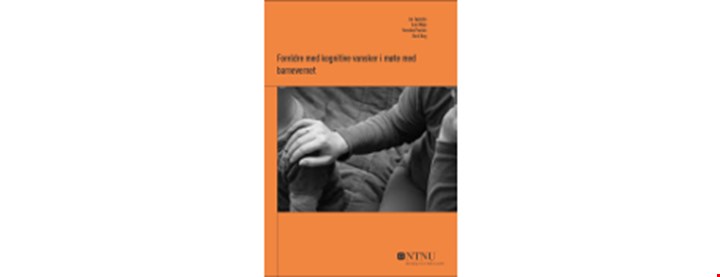 Rapportens forside